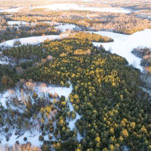 Photo #7 of Bakers Circle Road, Cullen, VA 3.7 acres