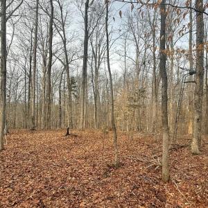 Photo #10 of 62 Willis Bluff LN, Cumberland, VA 8.0 acres