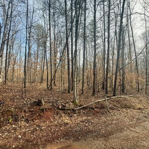 Photo #11 of 62 Willis Bluff LN, Cumberland, VA 8.0 acres