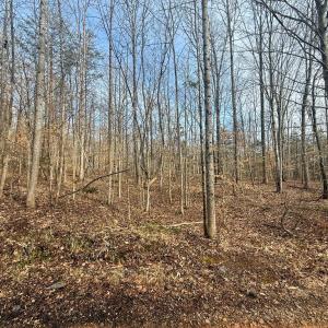Photo #12 of 62 Willis Bluff LN, Cumberland, VA 8.0 acres