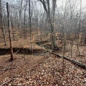 Photo #3 of 62 Willis Bluff LN, Cumberland, VA 8.0 acres