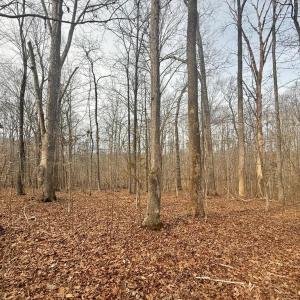 Photo #4 of 62 Willis Bluff LN, Cumberland, VA 8.0 acres