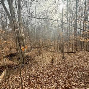 Photo #5 of 62 Willis Bluff LN, Cumberland, VA 8.0 acres