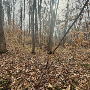 Photo #7 of 62 Willis Bluff LN, Cumberland, VA 8.0 acres