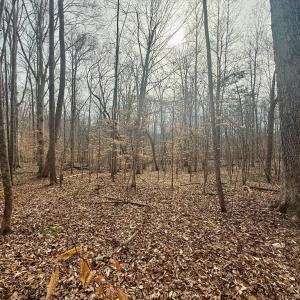 Photo #8 of 62 Willis Bluff LN, Cumberland, VA 8.0 acres