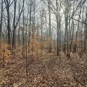 Photo #2 of 62 Willis Bluff LN, Cumberland, VA 8.0 acres