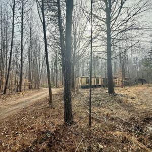 Photo #13 of 62 Willis Bluff LN, Cumberland, VA 8.0 acres