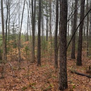 Photo #2 of 0 Cherry Hill Rd, McKenney, VA 21.7 acres