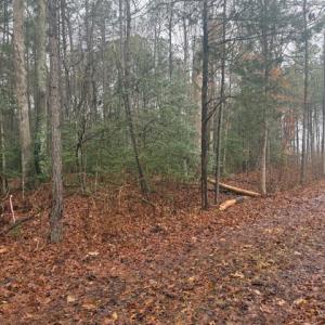 Photo #3 of 0 Cherry Hill Rd, McKenney, VA 21.7 acres