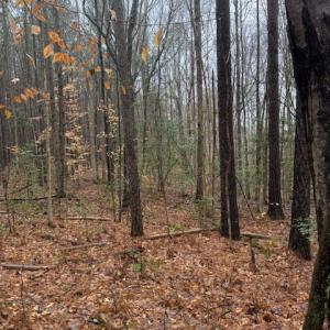 Photo #4 of 0 Cherry Hill Rd, McKenney, VA 21.7 acres