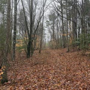 Photo #11 of 26398 Cherry Hill Rd, McKenney, VA 21.7 acres