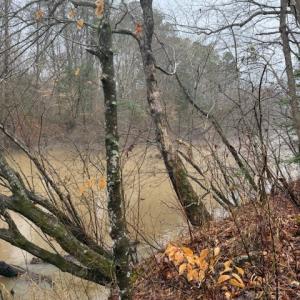 Photo #12 of 26398 Cherry Hill Rd, McKenney, VA 21.7 acres