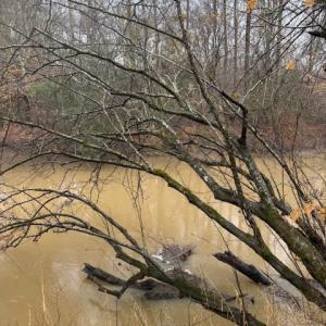 Photo #13 of 26398 Cherry Hill Rd, McKenney, VA 21.7 acres