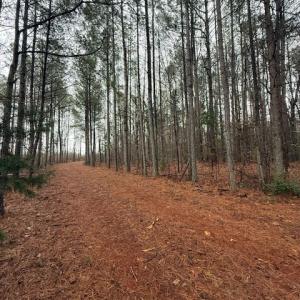 Photo #16 of 26398 Cherry Hill Rd, McKenney, VA 21.7 acres