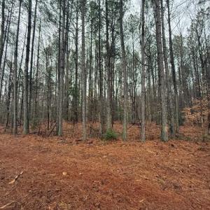 Photo #17 of 26398 Cherry Hill Rd, McKenney, VA 21.7 acres