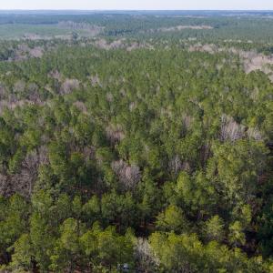 Photo #3 of 26398 Cherry Hill Rd, McKenney, VA 21.7 acres