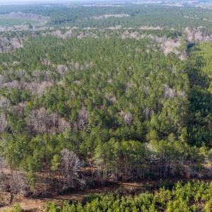 Photo #4 of 26398 Cherry Hill Rd, McKenney, VA 21.7 acres