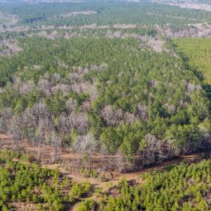Photo #6 of 26398 Cherry Hill Rd, McKenney, VA 21.7 acres