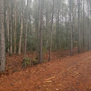 Photo #2 of 26399 Cherry Hill Rd, McKenney, VA 20.7 acres