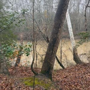 Photo #3 of 26399 Cherry Hill Rd, McKenney, VA 20.7 acres