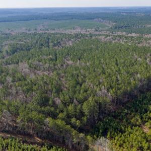 Photo #7 of 26399 Cherry Hill Rd, McKenney, VA 20.7 acres