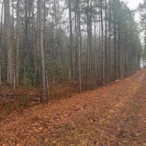 Photo #2 of 26400 Cherry Hill Rd, McKenney, VA 20.9 acres