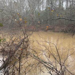 Photo #3 of 26400 Cherry Hill Rd, McKenney, VA 20.9 acres
