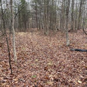 Photo #12 of Snow Hill Road, Alton, VA 31.7 acres