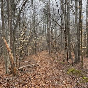 Photo #14 of Snow Hill Road, Alton, VA 31.7 acres