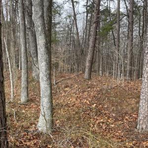 Photo #15 of Snow Hill Road, Alton, VA 31.7 acres