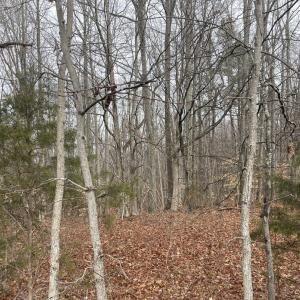 Photo #16 of Snow Hill Road, Alton, VA 31.7 acres