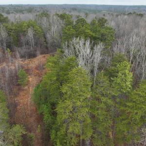 Photo #2 of Snow Hill Road, Alton, VA 31.7 acres