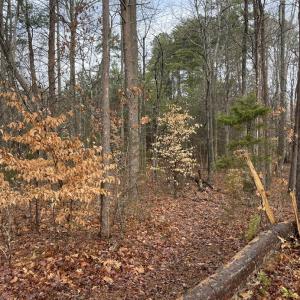 Photo #6 of Snow Hill Road, Alton, VA 31.7 acres