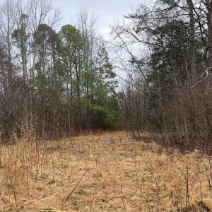 Photo #7 of Snow Hill Road, Alton, VA 31.7 acres