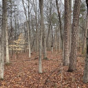 Photo #8 of Snow Hill Road, Alton, VA 31.7 acres