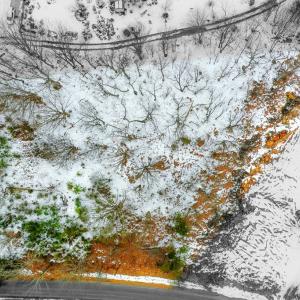 Photo #14 of 4890 Harris Creek Road, Prospect, VA 1.5 acres