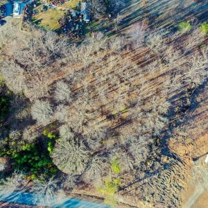 Photo #8 of 4890 Harris Creek Road, Prospect, VA 1.5 acres