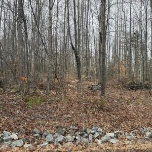 Photo #3 of West Lockett Creek Blvd, Pamplin, VA 2.9 acres