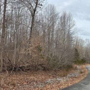 Photo #5 of West Lockett Creek Blvd, Pamplin, VA 2.9 acres