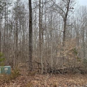 Photo #6 of West Lockett Creek Blvd, Pamplin, VA 2.9 acres