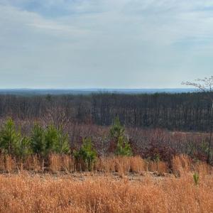 Photo #2 of 604 0 Meadow Creek Rd, Wingina, VA 19.5 acres