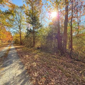 Photo #2 of Lovely Zion Road, Rawlings, VA 4.9 acres