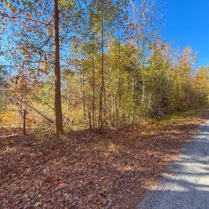 Photo #4 of Lovely Zion Road, Rawlings, VA 4.9 acres