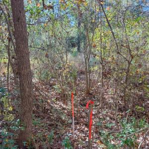 Photo #5 of Lovely Zion Road, Rawlings, VA 4.9 acres