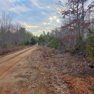 Photo #11 of Happy Trails Lane, Appomattox, VA 10.5 acres