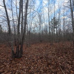 Photo #13 of Happy Trails Lane, Appomattox, VA 10.5 acres