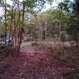 Photo #7 of Happy Trails Lane, Appomattox, VA 10.5 acres