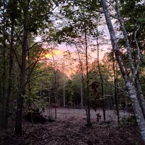 Photo #5 of Happy Trails Lane, Appomattox, VA 10.5 acres