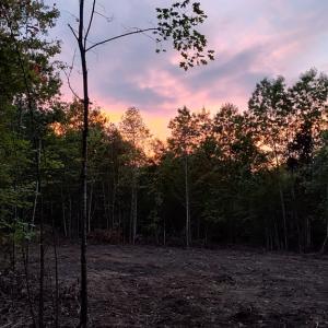 Photo #6 of Happy Trails Lane, Appomattox, VA 10.5 acres