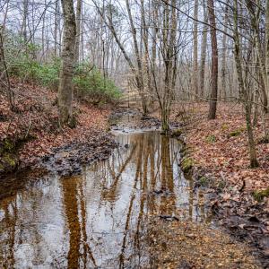 Photo #3 of Troublesome Creek Rd, Buckingham, VA 42.3 acres